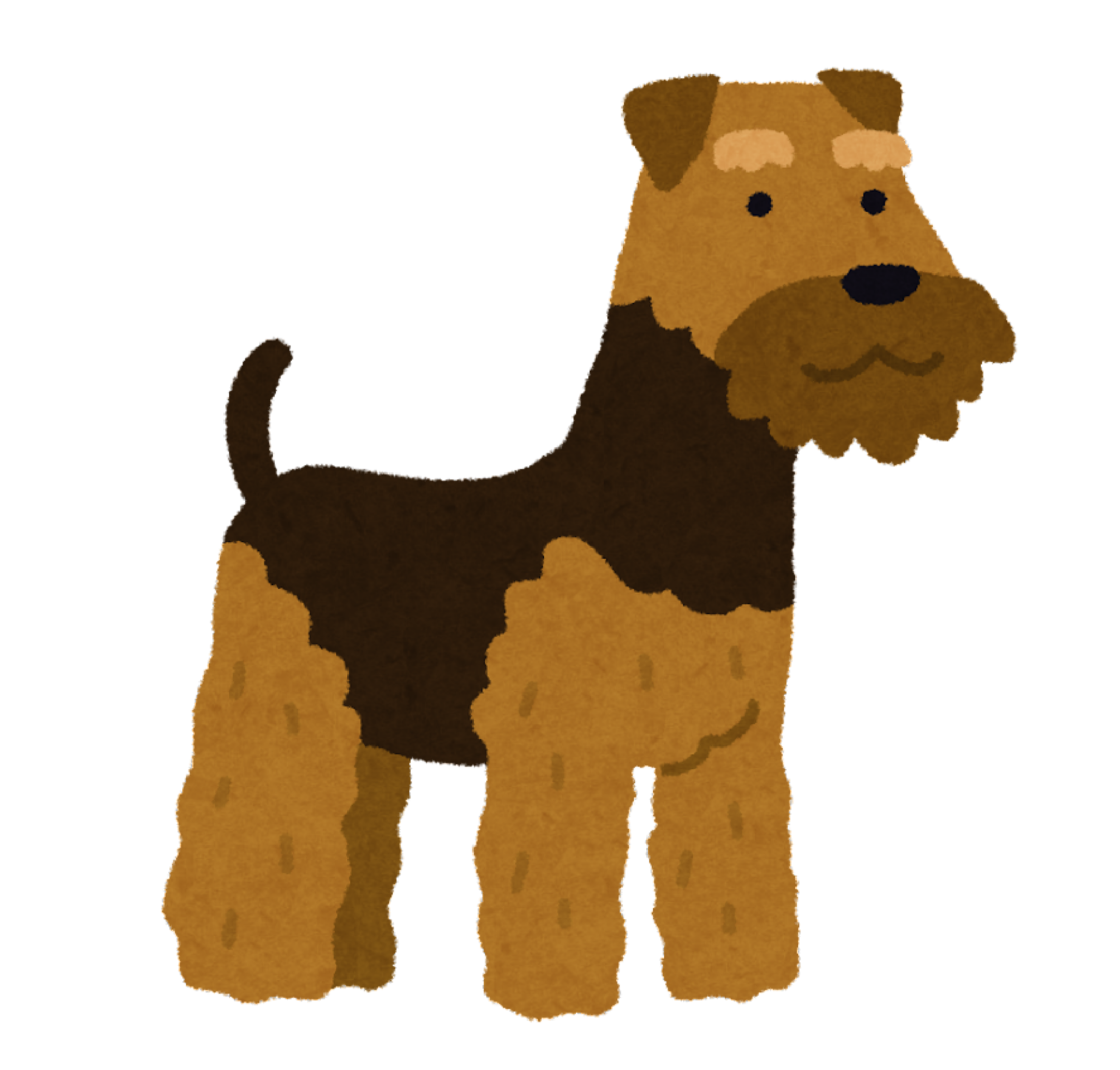 Brown dog